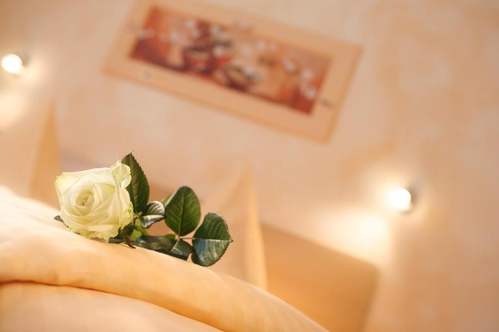 Hotel Mediterraneo Neustadt an der Weinstraße Δωμάτιο φωτογραφία